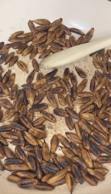 roasted date seeds, ground for the oil