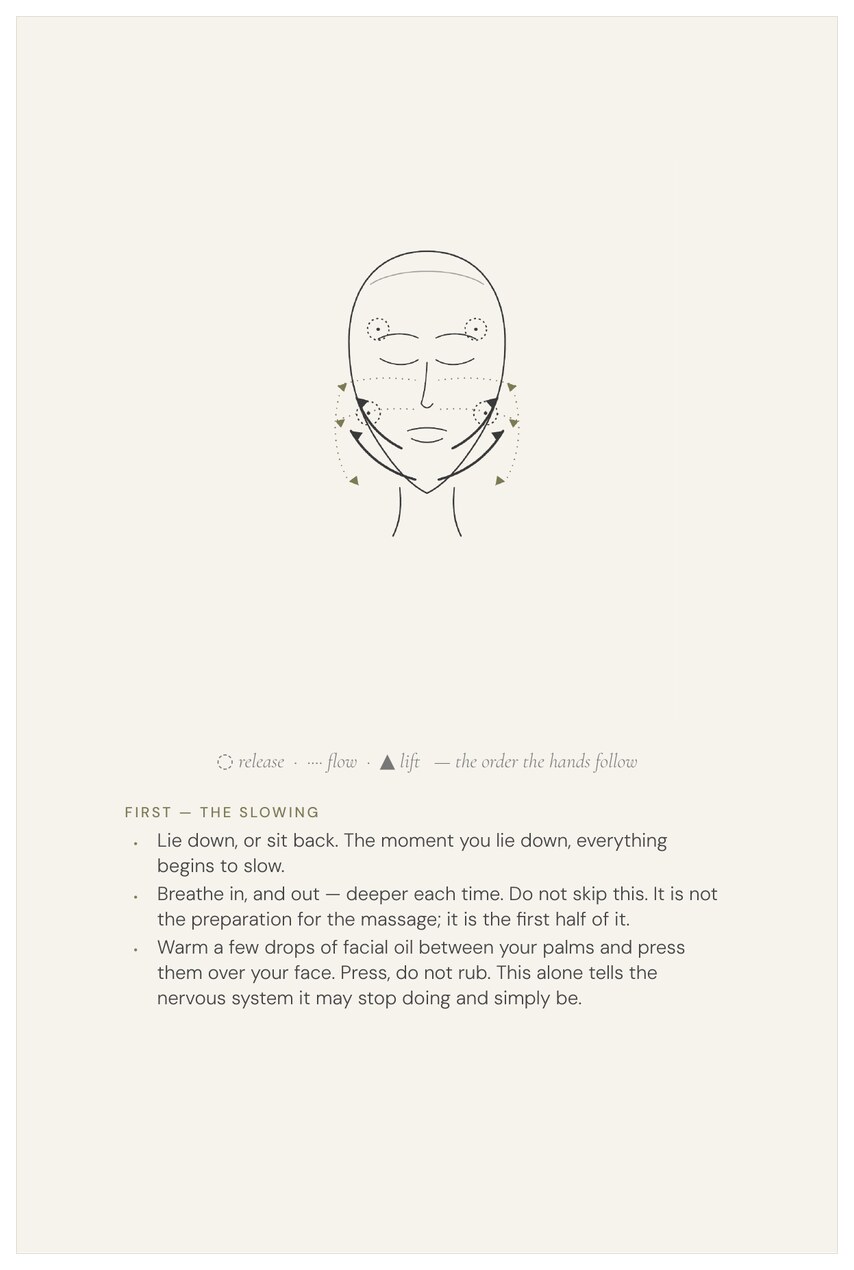 the face sculpt, the method, drawn